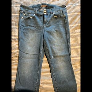 Torrid Jeggings Size 16R